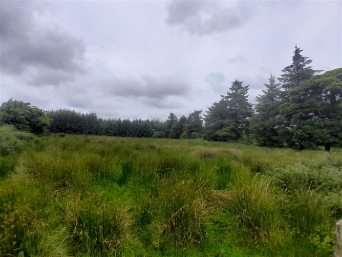 Toorard, Killasser, Swinford, Co. Mayo