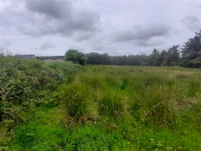 Toorard, Killasser, Swinford, Co. Mayo