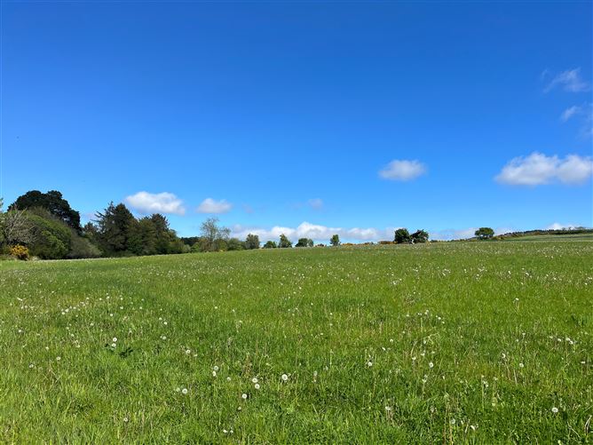 c.39acres (15.79Ha)  Slanelough, Ashford, Wicklow