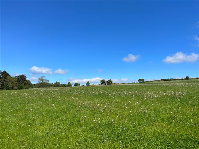 c.39acres (15.79Ha)  Slanelough, Ashford, Wicklow