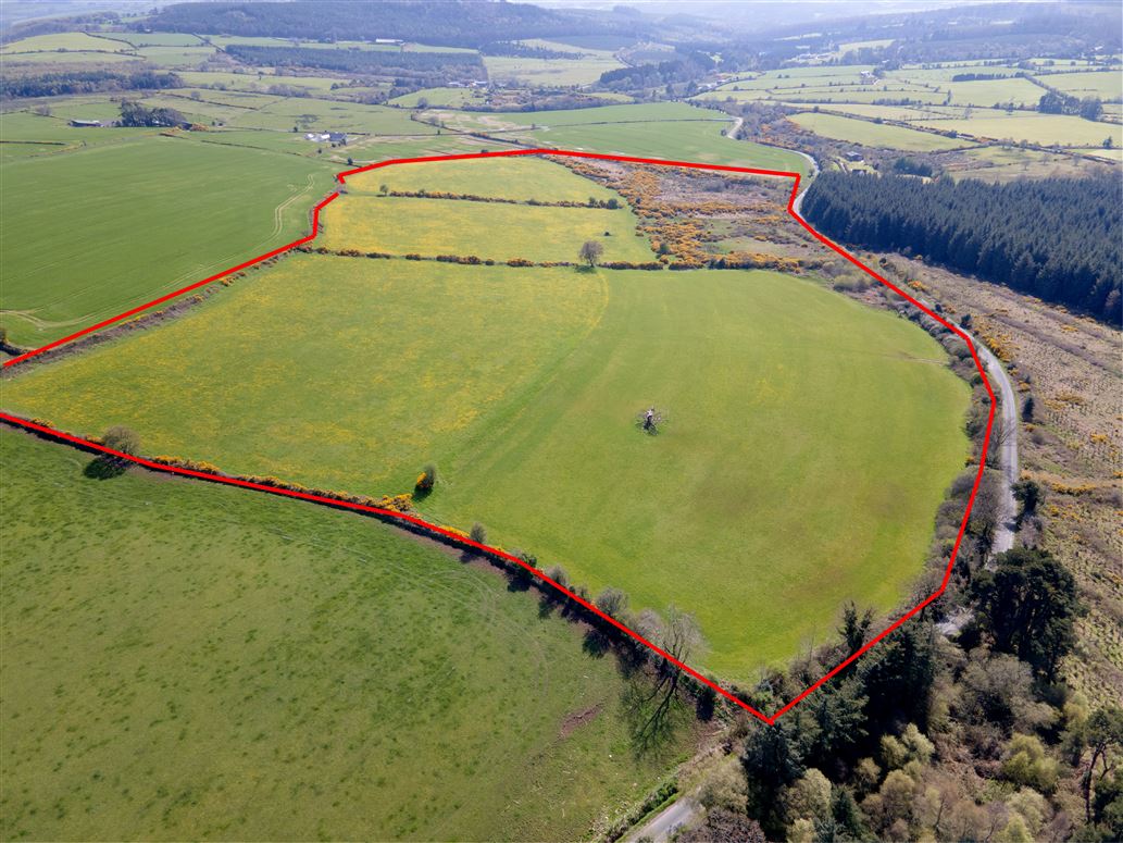 c.39acres (15.79Ha)  Slanelough, Ashford, Wicklow