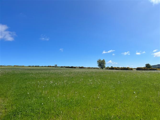 c.39acres (15.79Ha)  Slanelough, Ashford, Wicklow