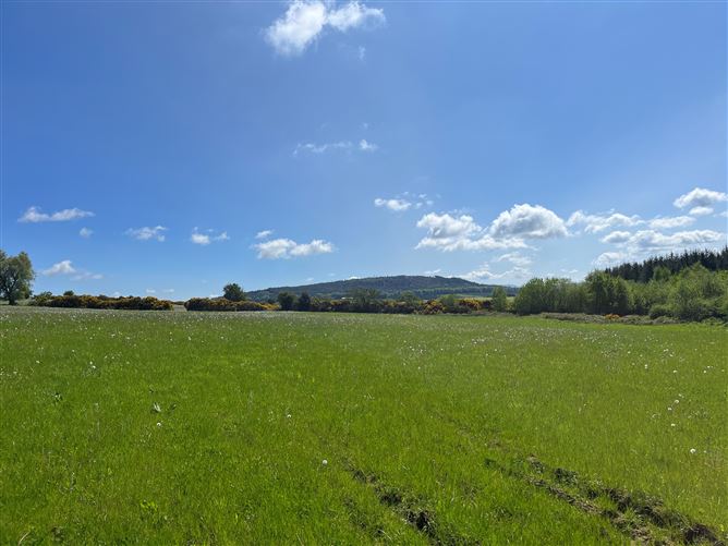 c.39acres (15.79Ha)  Slanelough, Ashford, Wicklow