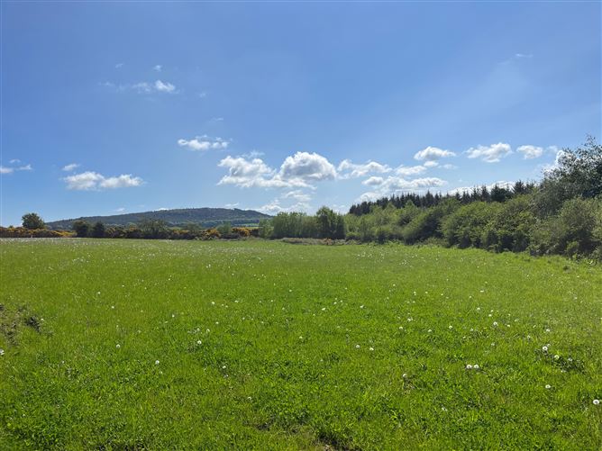 c.39acres (15.79Ha)  Slanelough, Ashford, Wicklow