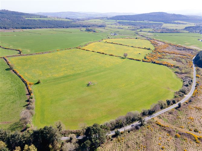 c.39acres (15.79Ha)  Slanelough, Ashford, Wicklow