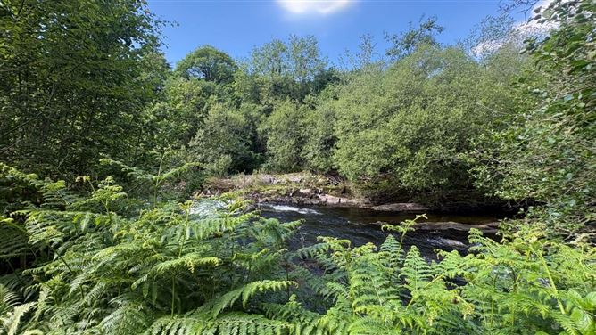 Photo 29 of 38 — Nire Valley River Cottage, Graignagower, Ballymacarbry, Waterford