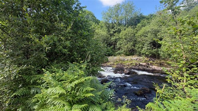 Photo 37 of 38 — Nire Valley River Cottage, Graignagower, Ballymacarbry, Waterford