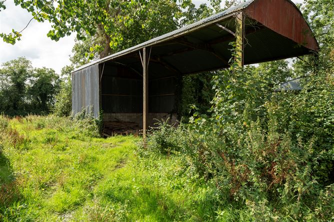 Ballincolloo , Bruff, Limerick