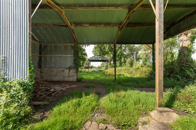 Ballincolloo , Bruff, Limerick