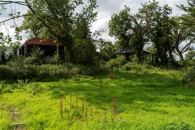 Ballincolloo , Bruff, Limerick