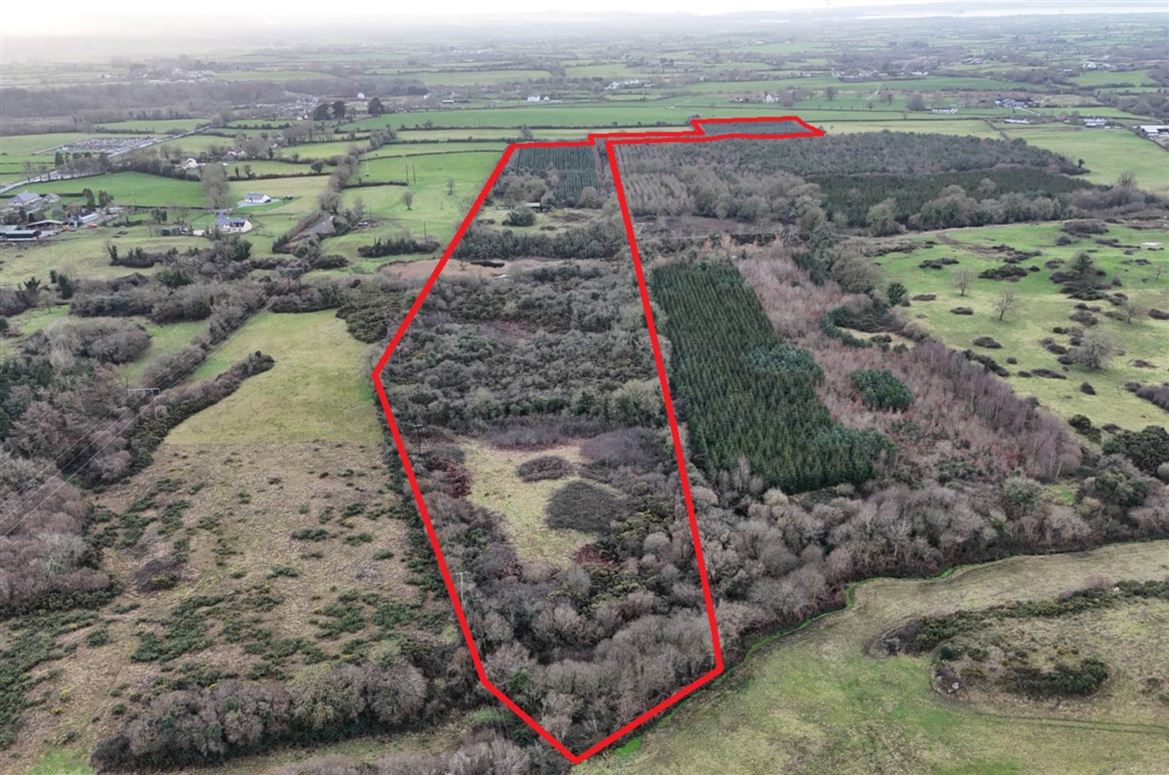 Crokerspark, Kildimo, Pallaskenry, County Limerick