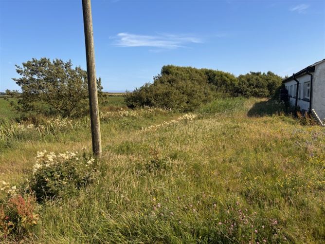 Photo 14 of 14 — Tacumshin, Tomhaggard, Our Lady's Island, Wexford
