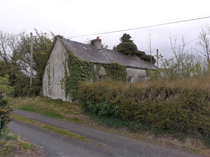 Main image for Derryneill, Athlone, Ballydangan, Co. Roscommon