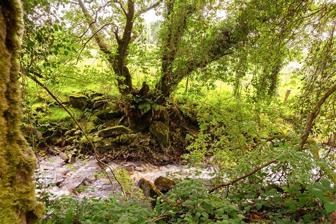 Cloonacool, Co. Sligo