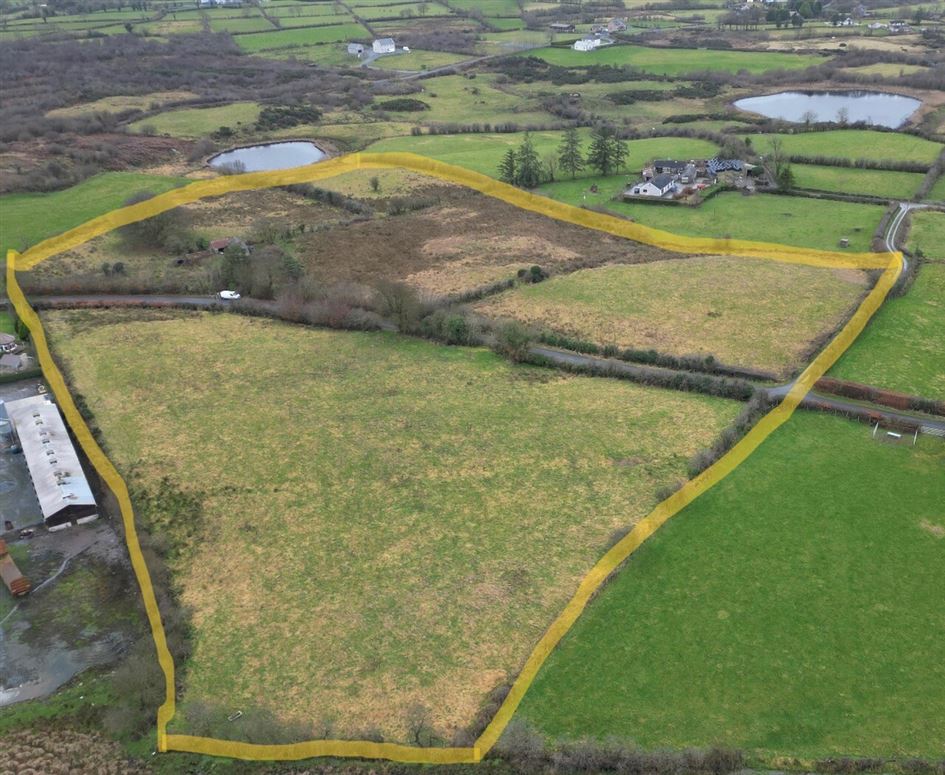 Agri. Lands At Tonagh, Clontibret, Co. Monaghan Sherry FitzGerald