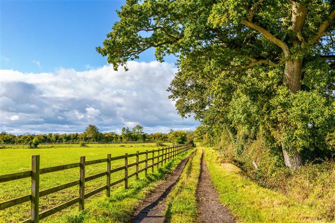 Butlerstown Stud, Dunboyne, County Meath