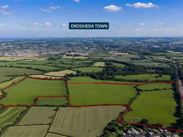 Lands At Killineer, Approx. 27.5 ha (68 acres), Drogheda, County Louth
