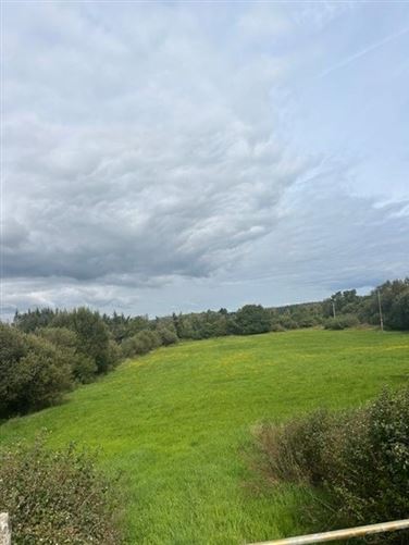 Drumderg, Drumshanbo, Co. Leitrim