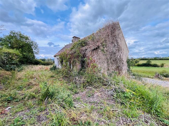 Garrynalyna, Galbally, Co. Limerick
