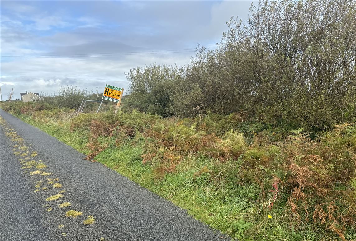 Kilmacduane, Cooraclare, Clare