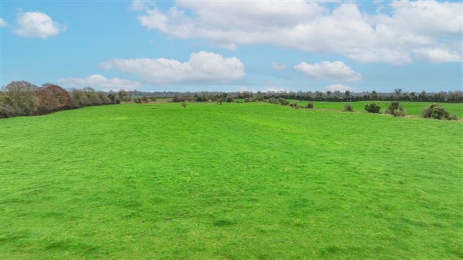 Crowenstown, Delvin, Westmeath