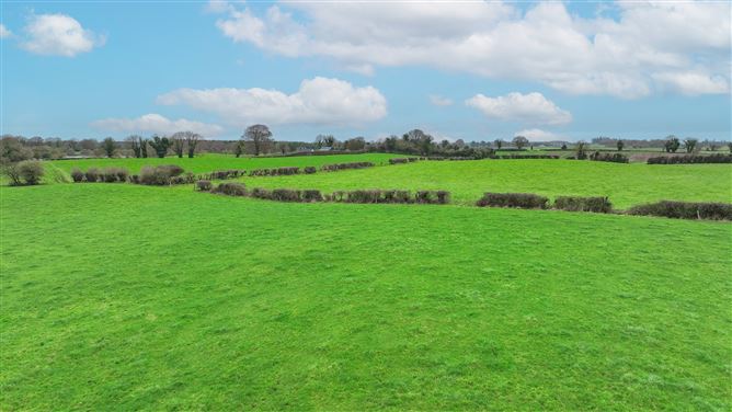 Crowenstown, Delvin, Westmeath
