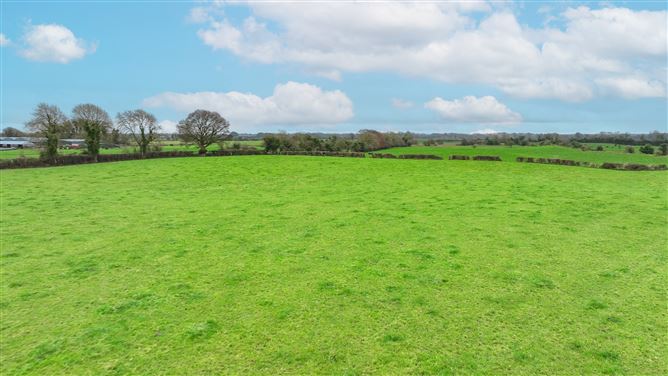 Crowenstown, Delvin, Westmeath