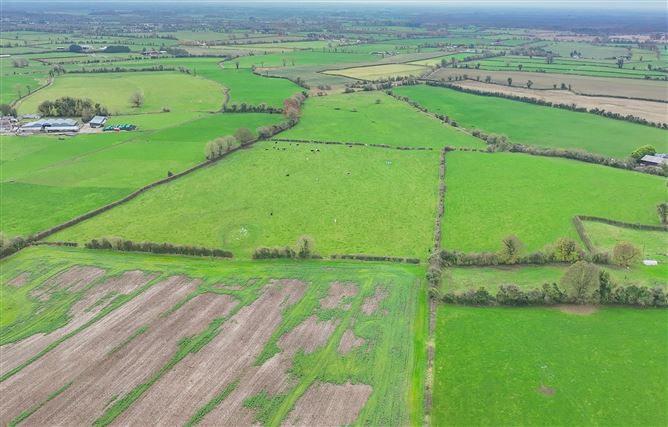 Crowenstown, Delvin, Westmeath