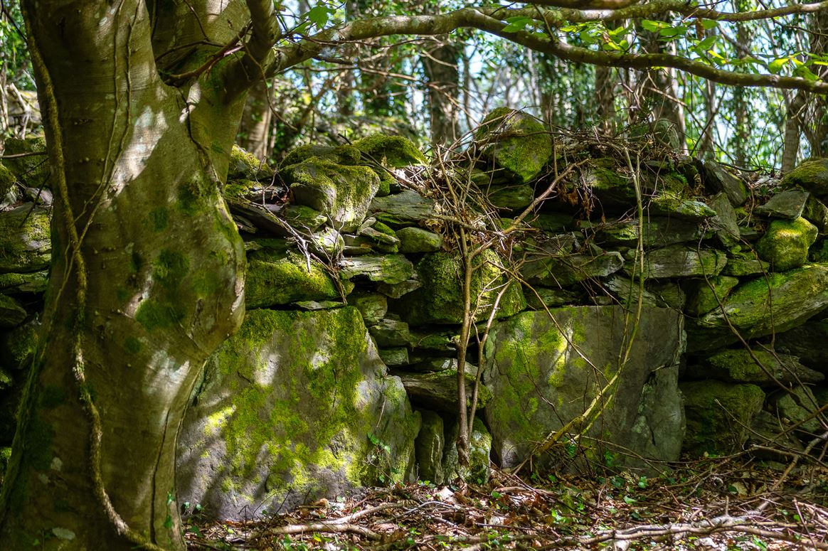 Derrynane Beg House, Caherdaniel, Co. Kerry, V23 KH48 Derrynane Beg House, Caherdaniel, Co. Kerry, V23 KH48
