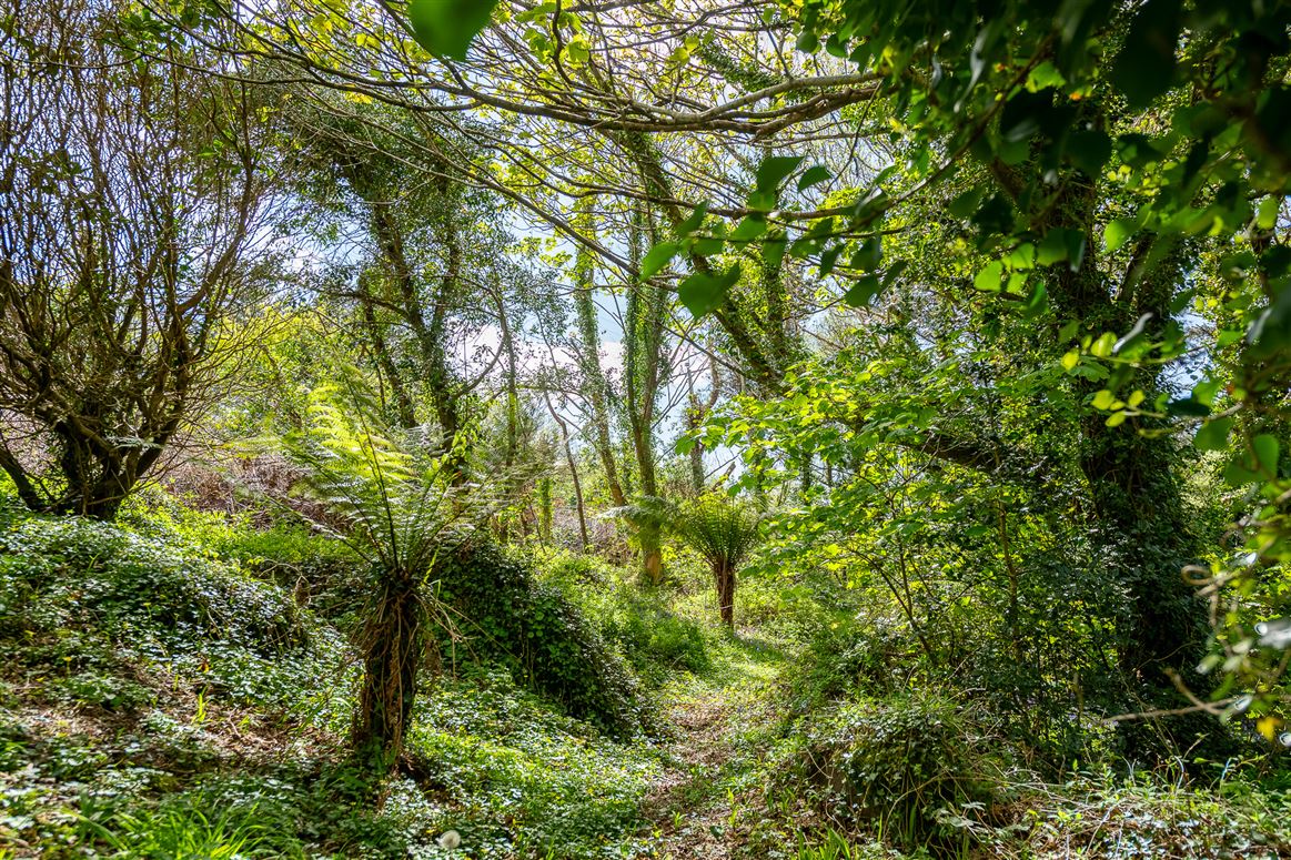 Derrynane Beg House, Caherdaniel, Co. Kerry, V23 KH48 Derrynane Beg House, Caherdaniel, Co. Kerry, V23 KH48