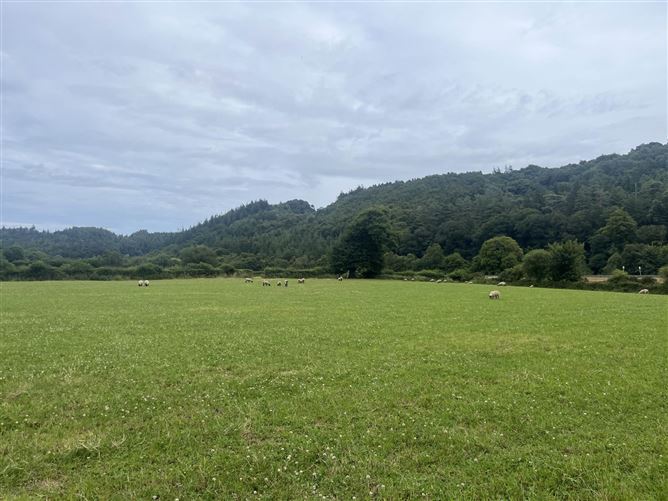 Castlemacadam, Avoca, County Wicklow