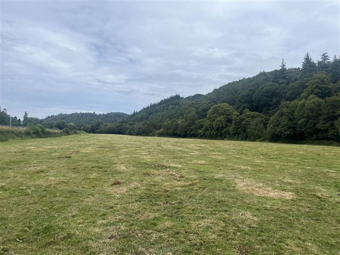 Castlemacadam, Avoca, County Wicklow