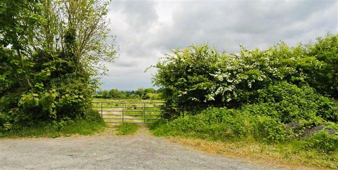 Lands Ballynagar, Abbey, Loughrea, Co. Galway