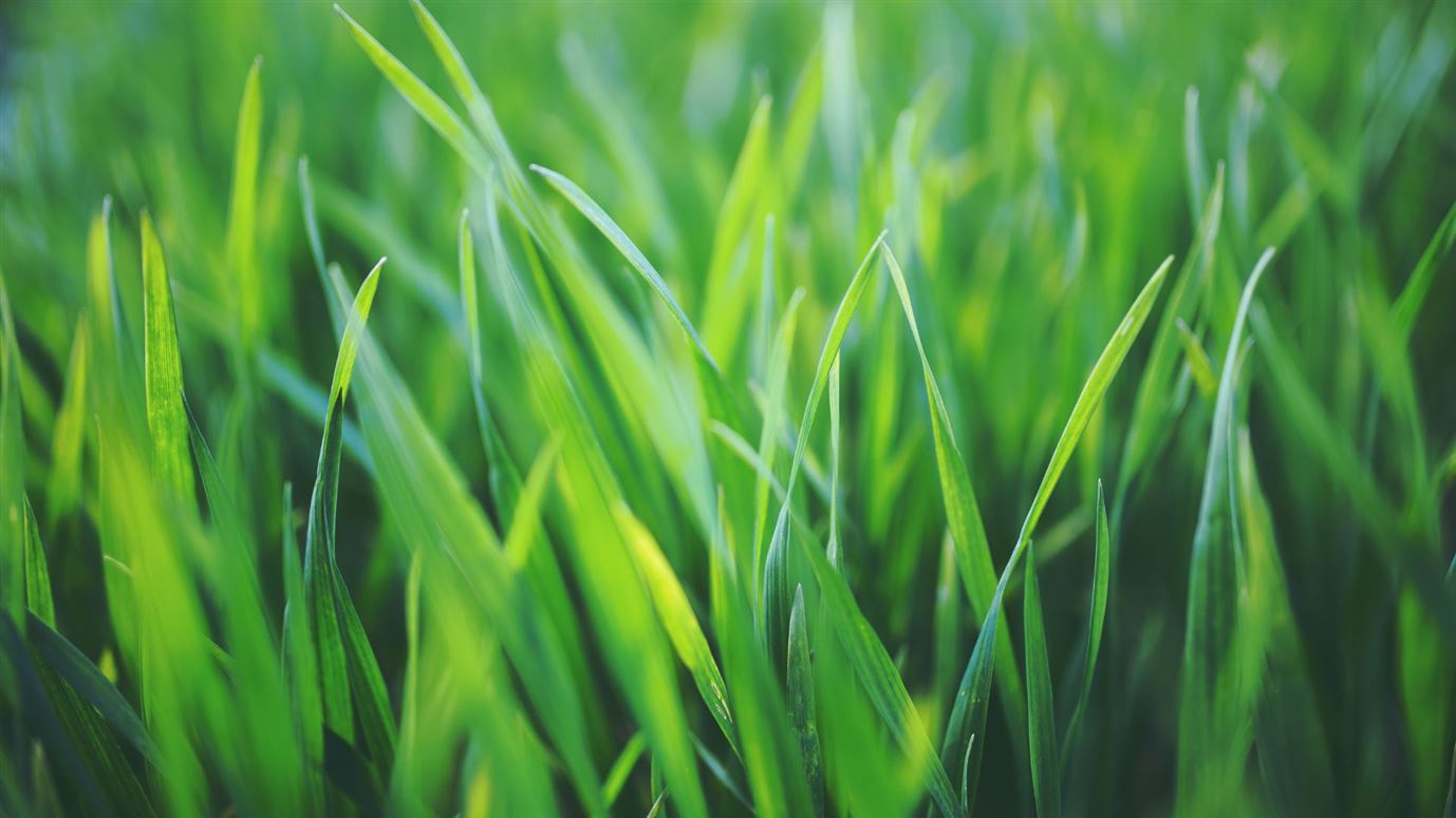 Circa 1 Acre Site, Old Parish, Dungarvan, Waterford