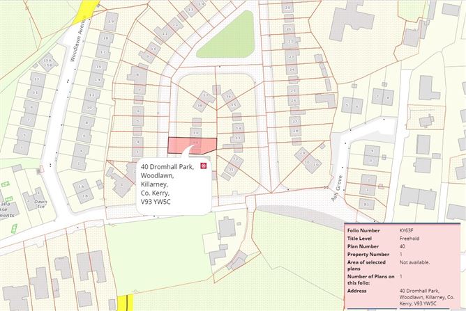 40 Dromhall Park, Woodlawn, Killarney, Co. Kerry