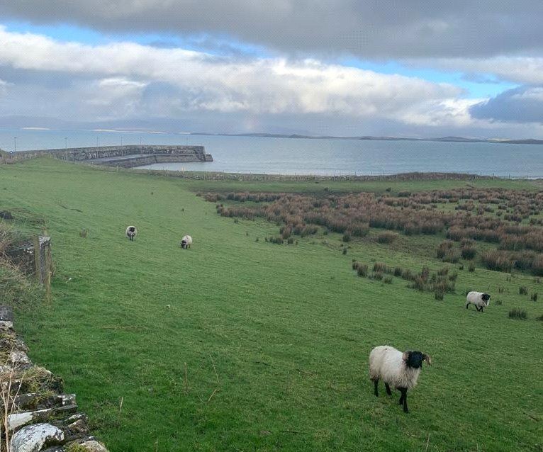 Lecanvey, Westport, Co. Mayo