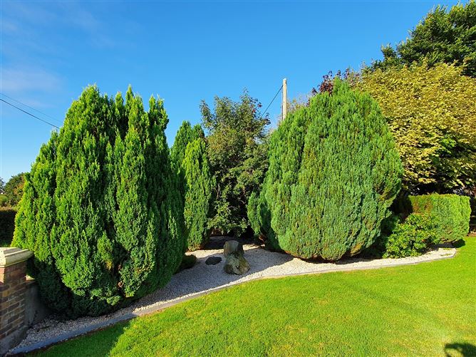 Heney, Cavan, Cavan