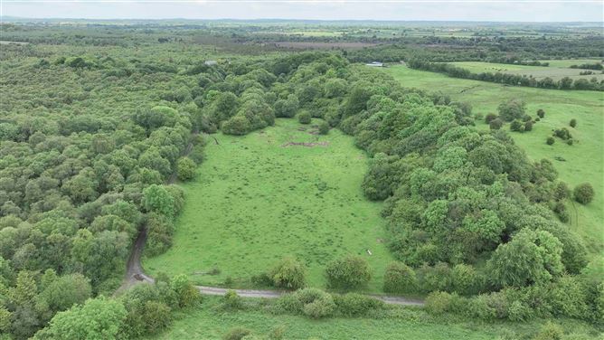 Newforest, Kilbeggan, Westmeath