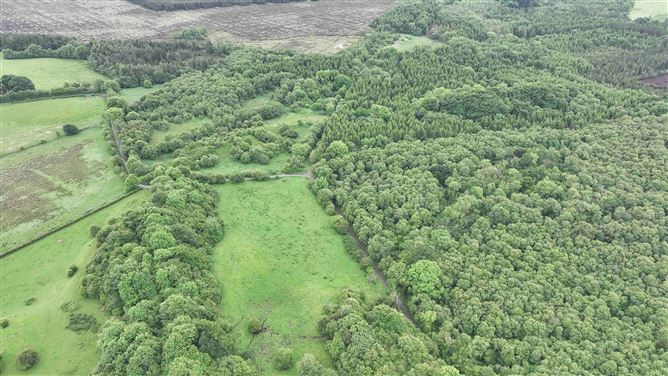 Newforest, Kilbeggan, Westmeath