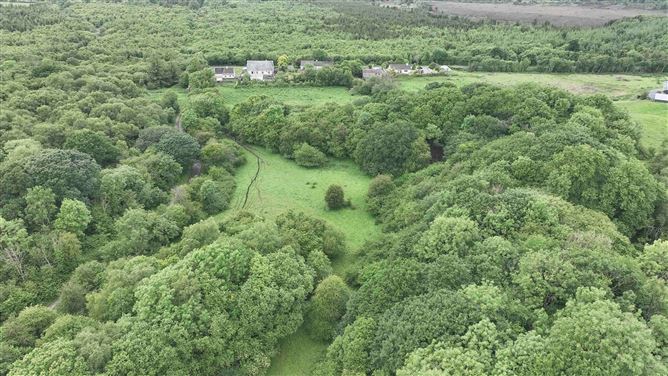 Newforest, Kilbeggan, Westmeath