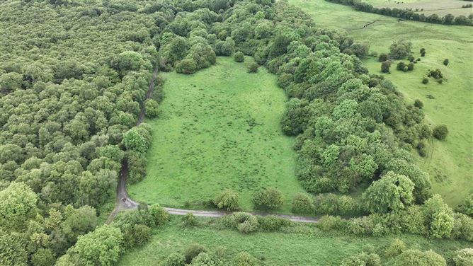 Newforest, Kilbeggan, Westmeath