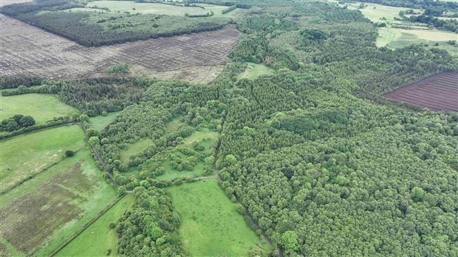 Newforest, Kilbeggan, Westmeath