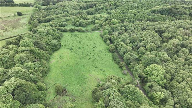 Newforest, Kilbeggan, Westmeath