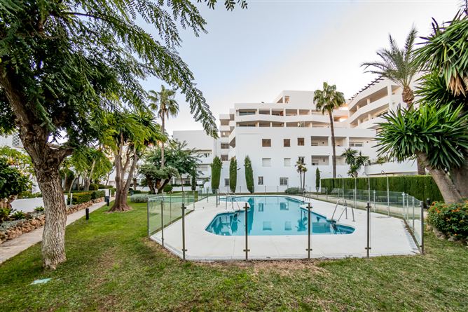 Spain, Marbella, Nueva Andalucia - COSTA-01084P