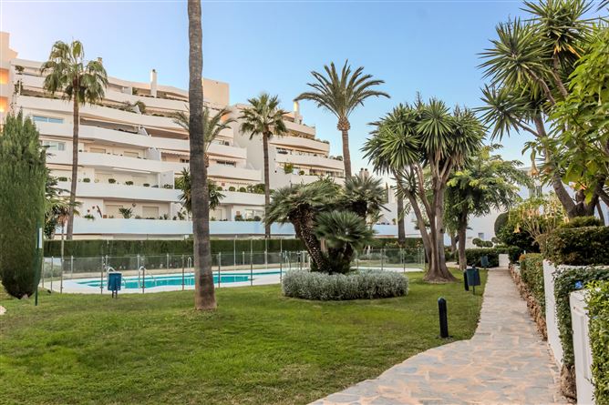 Spain, Marbella, Nueva Andalucia - COSTA-01084P