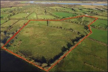 Salmons Lane, Ballyleague, Roscommon