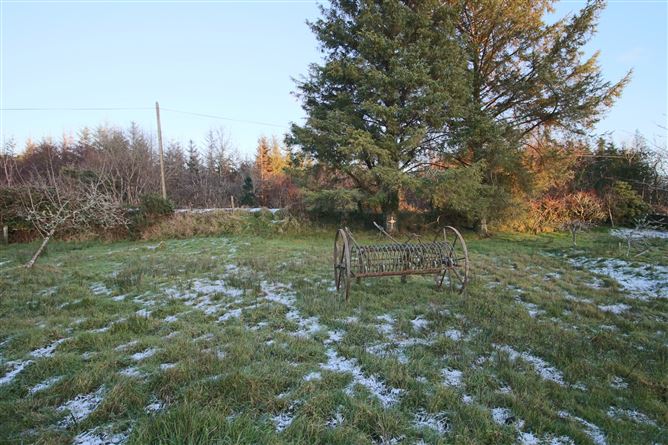 Drumaweel Glebe, Drumcong, Carrick-On-Shannon, Co. Leitrim