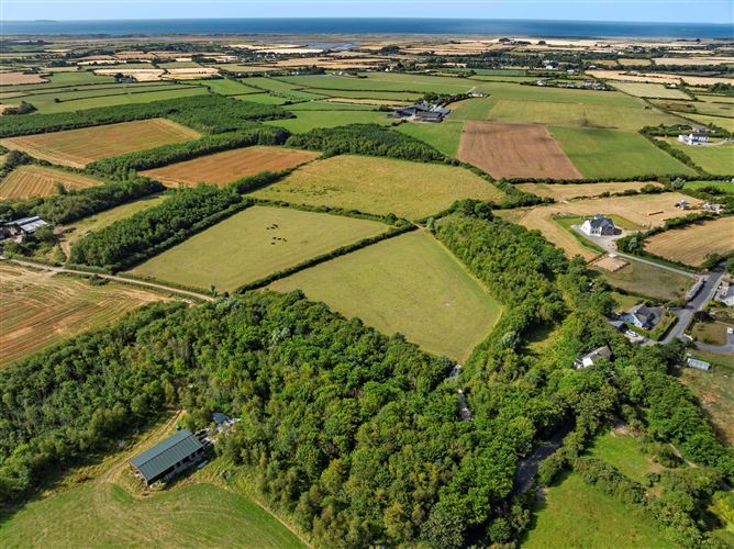 c. 8.78 Hectares (21.70 Acres) at Nicharee, Duncormick, Wexford