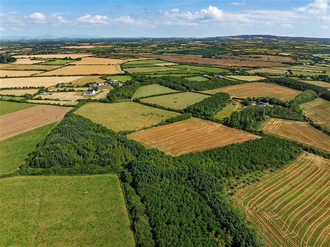 Photo 5 of 9 — c. 8.78 Hectares (21.70 Acres) at Nicharee, Duncormick, Wexford