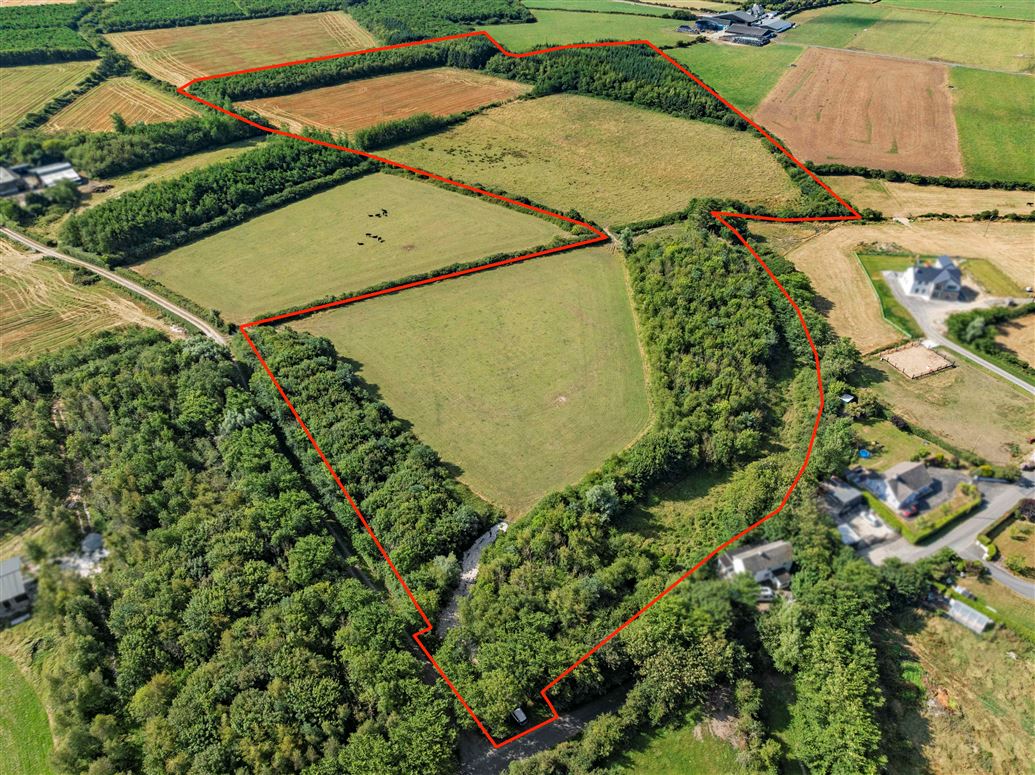 c. 8.78 Hectares (21.70 Acres) at Nicharee, Duncormick, Wexford